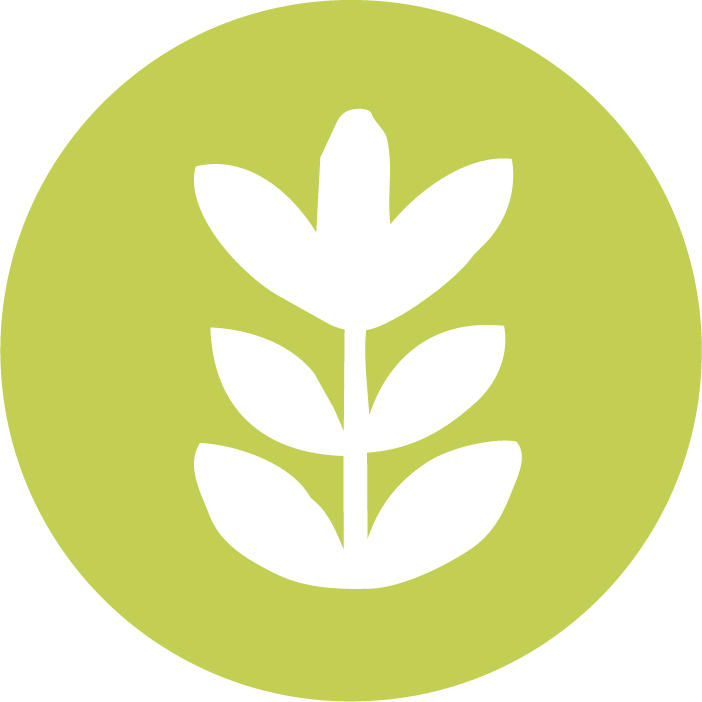 Initiative soutien à la biodiversité du Quartier-laboratoire de Croque ton quartier